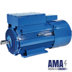 WOUND ROTOR (SLIP RING) THREE-PHASE Asynchronous MOTORS
