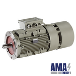 Squirrel CAGE THREE-PHASE Asynchronous BRAKE MOTORS