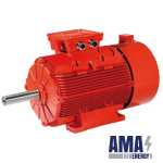 Squirrel CAGE THREE-PHASE Asynchronous Generators