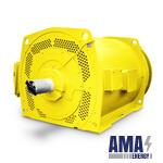 Low and high Voltage Squirrel cage Induction motors