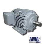 Three-Phase Electric Motors