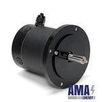 DPP700 Brush Motor