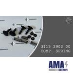 Compression Spring.  -  3115 2903 00 - 3115290300