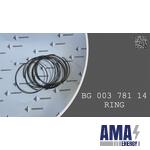 RING  -  BG 003 781 14 - Bg00378114