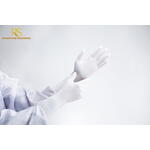 Cleanroom SF1 Nitrile Gloves  