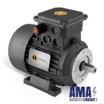 ATEX Asynchronous Explosion Proof Motors Ex eb