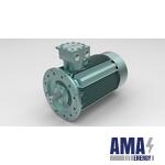 ATEX Explosion Proof Motors OMEX (Low Voltage)