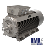 Permanent Magnet Motors OMPM