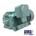 Explosion-Proof High Voltage Motors OMEX
