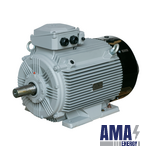 WE5 Series — IE5 Ultra Premium Efficiency Three‑Phase Induction Motors
