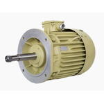 Asynchronous motor 2Dmsh2K200S6