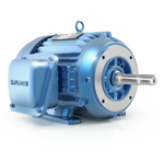 AC Induction MOTOR (Model HES50-18-324/6Jp)