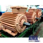 Electric motor Adzm315