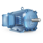 Explosion PROOF Induction MOTOR (Model Ixhhi250-18-449T)
