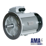 WE3 Series — IE3 Premium Efficiency Three‑Phase Induction Motors
