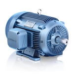 AC Induction MOTOR (Model HES50-18-326T)