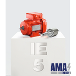 DR2C Series Synchronous Motors (IE5)