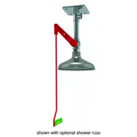 Ceiling Mount, Hughes Drench Shower, Galvanized Pipe
