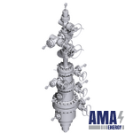 Bs/Bshd Conventional Wellhead