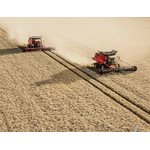 Axial-Flow 9250 Combine Harvester