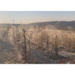 Frost Protection Control System
