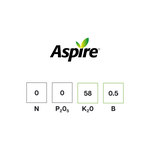 Aspire® with Boron