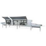 EPOIG II (ONION Washer/Peeler)