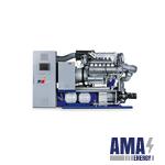 Gas Engine Generator Set MTU 12V400 GS (Engine Type B3042 Z7)