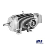 IMOTICS DP Definite Purpose motors steel mill motors