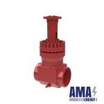 Gate Valves