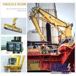 Offshore Pedestal Cranes