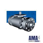 Trunnion BALL VALVES