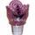 Roller drill bit 112V-C74Z-R1245 (III 112 K-CV)