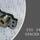 SPACER ASSY - 550 348 89 - 55034889