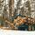 Forwarder Amkodor 2662