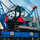 Crawler crane RDK-250M