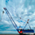 Crawler crane RDK-630M