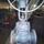 Actuator 30Kch70Br wedge