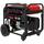 Gxs5000D Dual Fuel Portable Generator