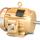 Super-E® Premium Efficient AC Motor