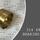 Bearing Bushing - 314 682 98 - 31468298