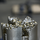 Borehole Milling Cutters