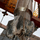 Directional Drilling Services