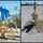 Wellhead Products