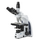 Iscope® Trinocular Polarizing Microscope with EWF 10X/20Mm Eyepiece – EIS-1053-Plpolri