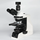 PA53 BIO Compound Microscope