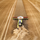 LEXION 8900 Combine Harvester