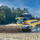 SunLite Horizon Sunflower Head (SLH 30)