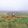 Trailed Boom Sprayer "ZUBR" - ZUBR 3700
