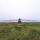 Trailed Boom Sprayer "ZUBR" - ZUBR 3700